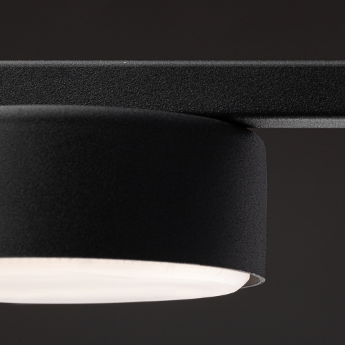 Потолочный светильник Freya FR5363CL-01B фото 8